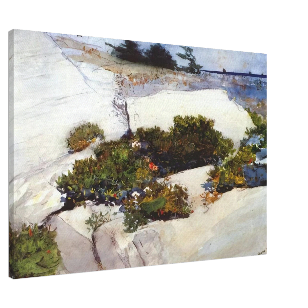 MAINE CLIFFS Canvas | Winslow Homer Canvas | Winslow Homer Store