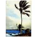 PALM TREE NASSAU Poster | Winslow Homer Poster | Winslow Homer Store