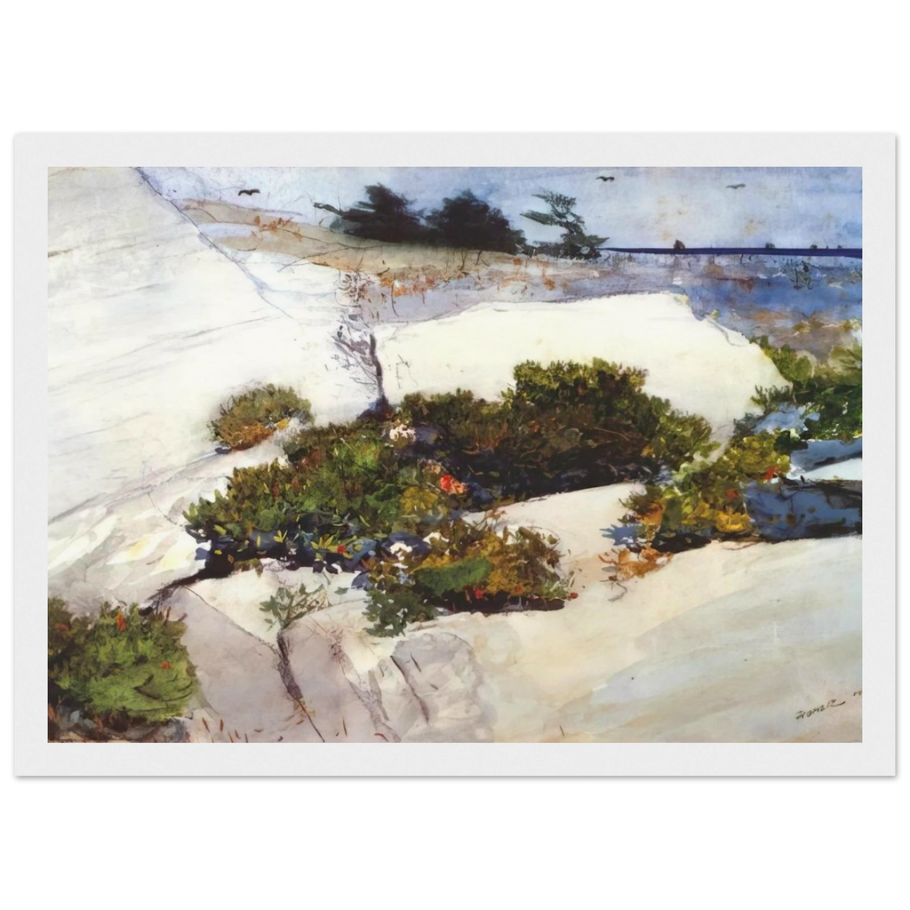 MAINE CLIFFS Framed Poster | Winslow Homer Framed Prints Wall Art | Winslow Homer Store