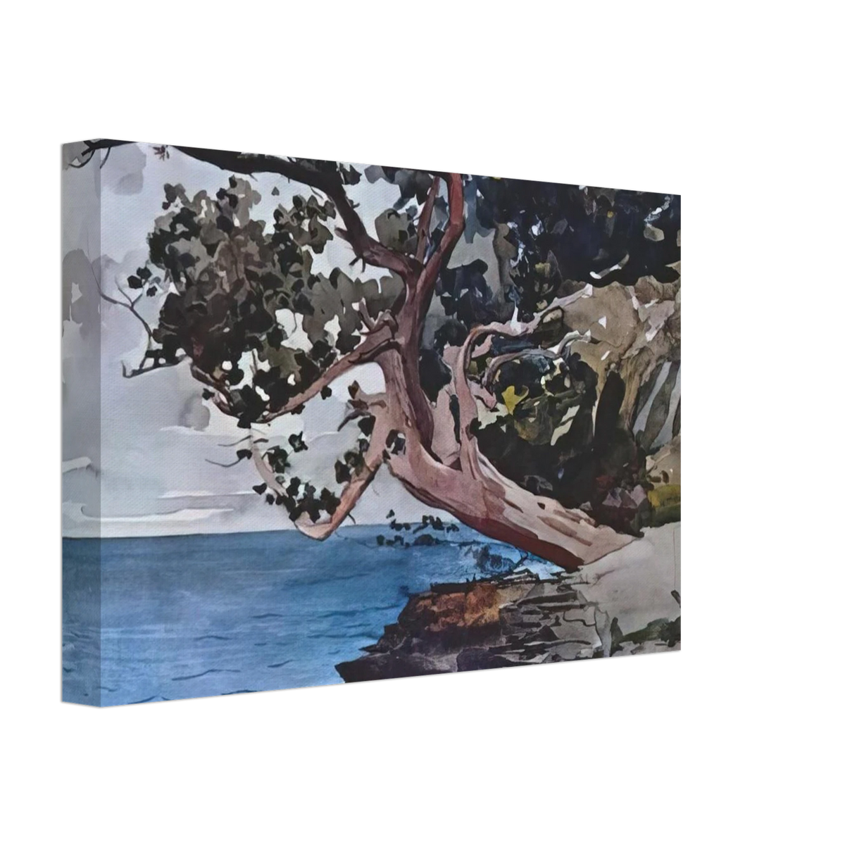 NORTH ROAD BERMUDA Canvas | Winslow Homer Canvas | Winslow Homer Store