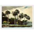 THE TURKEY BUZZARD Framed Poster | Winslow Homer Framed Prints Wall Art | Winslow Homer Store