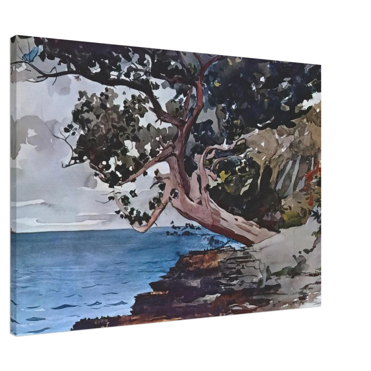 NORTH ROAD BERMUDA Canvas | Winslow Homer Canvas | Winslow Homer Store