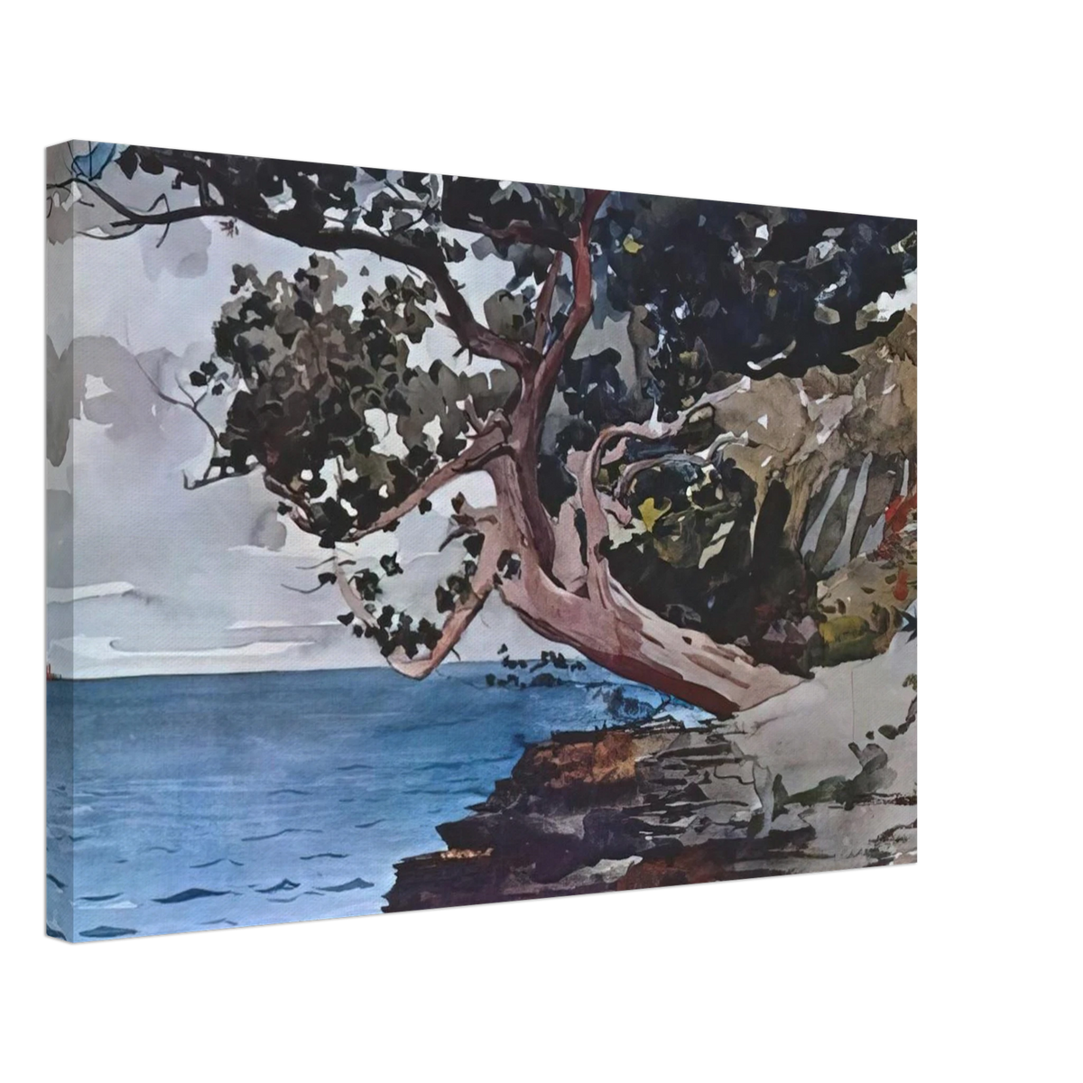 NORTH ROAD BERMUDA Canvas | Winslow Homer Canvas | Winslow Homer Store