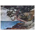 NORTH ROAD BERMUDA Poster | Winslow Homer Poster | Winslow Homer Store