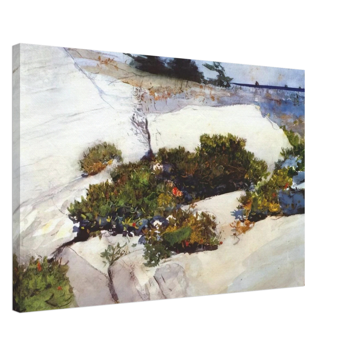 MAINE CLIFFS Canvas | Winslow Homer Canvas | Winslow Homer Store