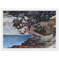 NORTH ROAD BERMUDA Framed Poster | Winslow Homer Framed Prints Wall Art | Winslow Homer Store