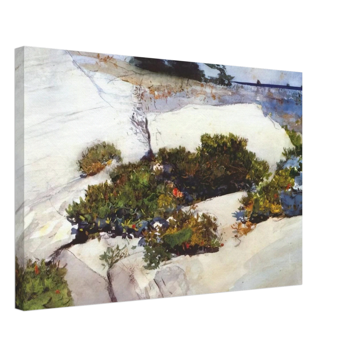 MAINE CLIFFS Canvas | Winslow Homer Canvas | Winslow Homer Store