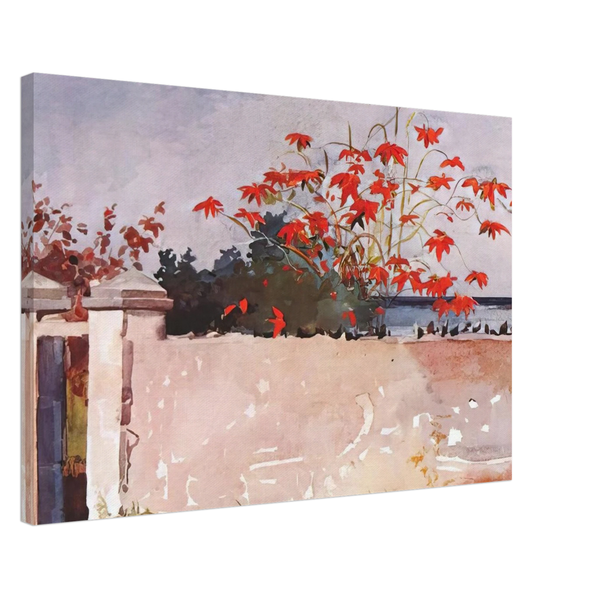 A WALL NASSAU Canvas | Winslow Homer Canvas | Winslow Homer Store