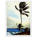 PALM TREE NASSAU Framed Poster | Winslow Homer Framed Prints Wall Art | Winslow Homer Store